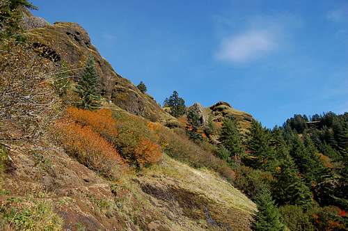Some nice fall color on Saddle Mt.