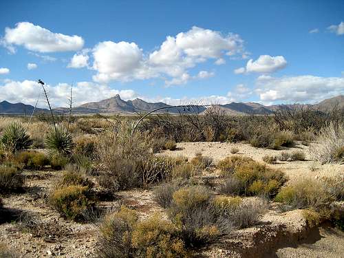 Chihuahuan Desert, New Mexico