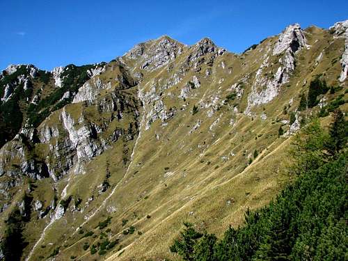 Monte Schenone / Lipnik, 1950m from the east ridge.