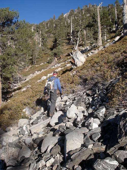 Shortcut to San Bernardino Peak