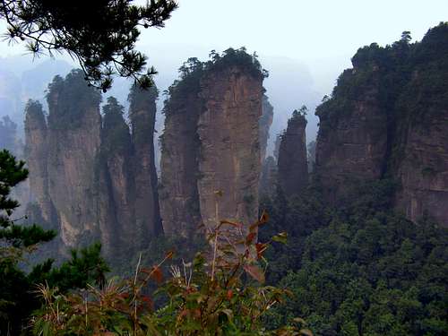Pillars in Zhangjia Jie