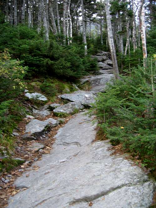 Mt. Mansfield Long Trail
