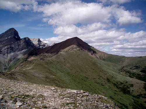 Mt. Allan