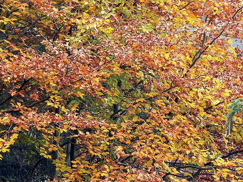 Autumn colors around Presolana