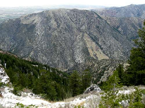 View into Logan Canyon