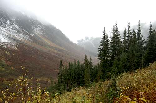 Fall Colors, North Cascades