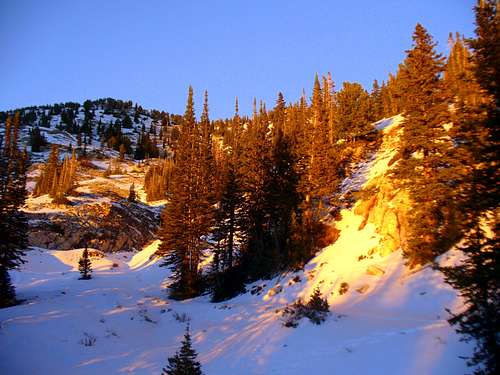 Grizzly Gulch alpenglow