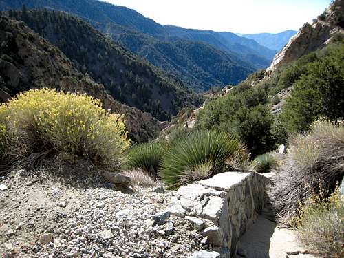 Bear Creek Canyon, San Gabriel Mtns.