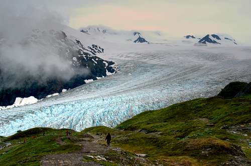 Exit Glacier trail, Alaska