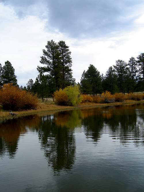 Reflection of Fall