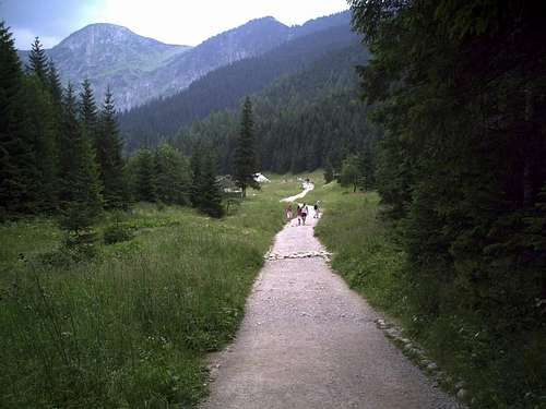 Jaworzynka valley2-High Tatras