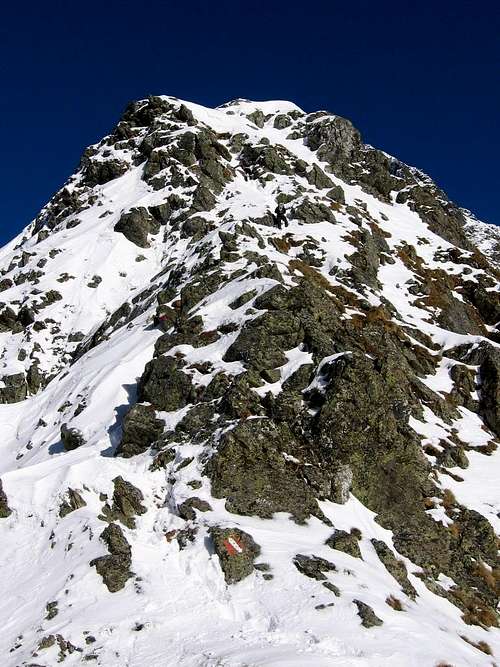 Jules & Morceaux on the ridge of Waldhorn