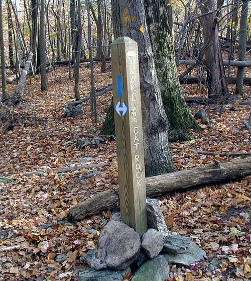 Catoctin Trail Junction