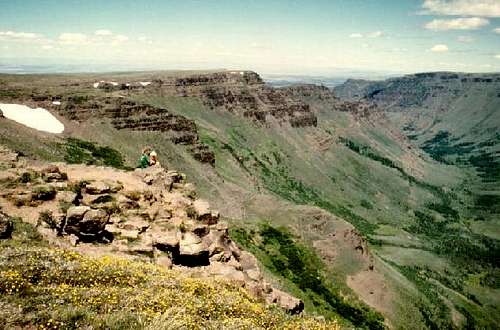 Kiger Gorge from the Steens...