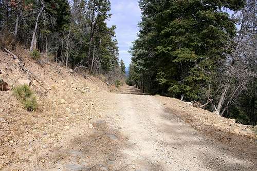 Forest Road 233 in the Tularosa Mountains