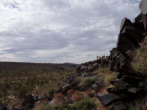 Searching the cliff for petroglyphs