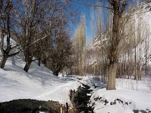 Winter in Zoshk
