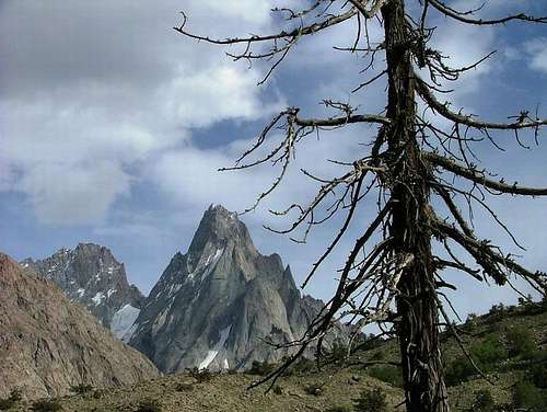Beautiful view of unnamed peak and tree in North Pakistan