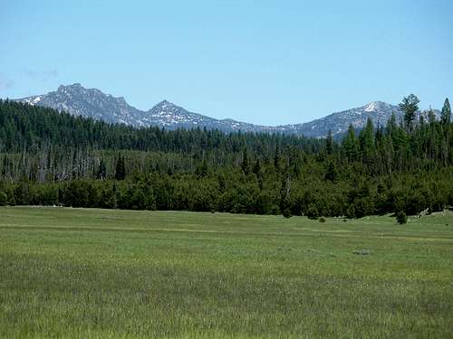 A BLUE MOUNTAINS MEADOW IN SPRING
