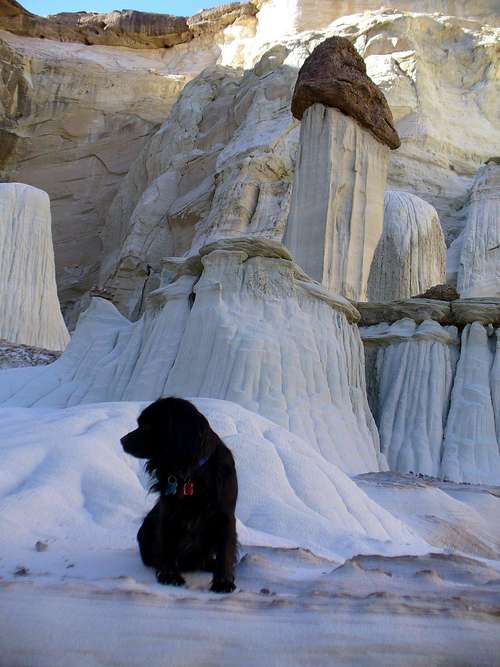 Max in Hoodoo Central