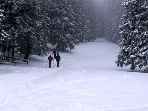 Babia Góra-Polish Mountains19