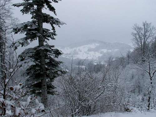 Babia Góra-Polish Mountains20