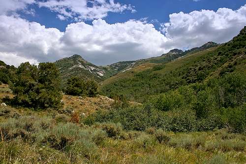 Northern Ruby Mountains