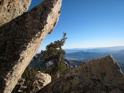 View South from Marion Mtn. (10,320')