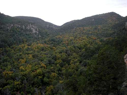 Fall color in Boot Canyon