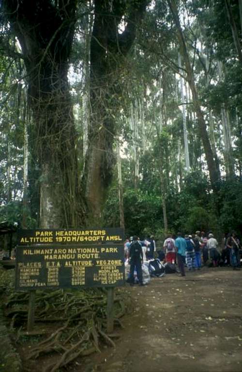 Entering the Kilimanjaro...