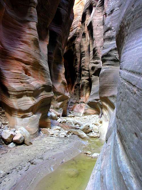 Orderville Canyon - ZNP