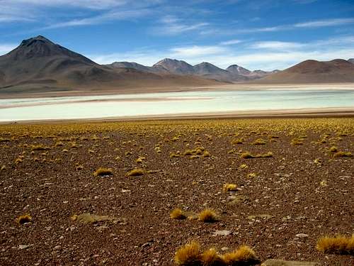 Bolivian Altiplano landscape