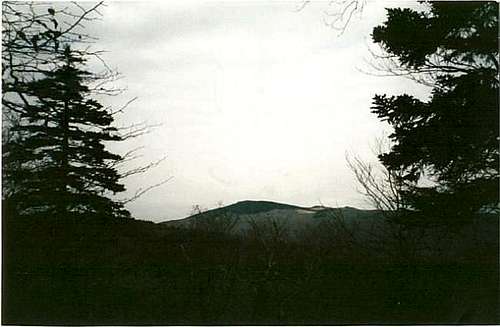 Distant view of Mt. Rogers...