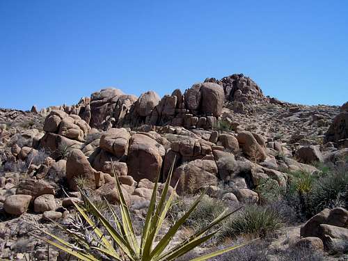 Rock formations near Mastadon Peak