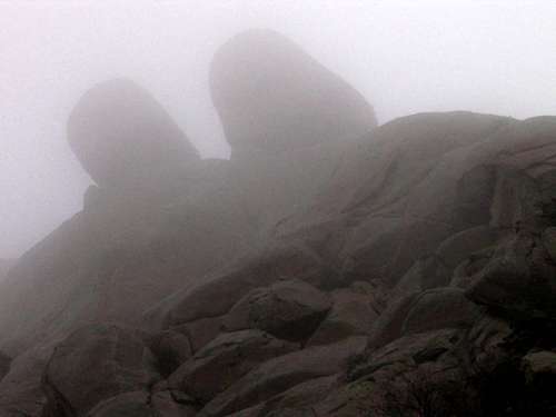 Apple and Pear in the Fog