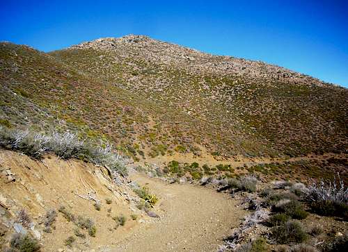 Ken Point's Summit Ridge