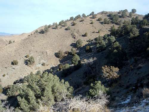 View from the trail of the hillside