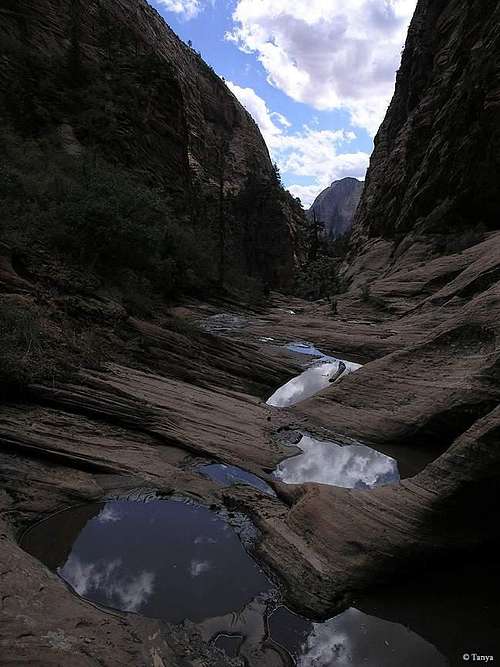 Behunin Canyon -  Zion National Park