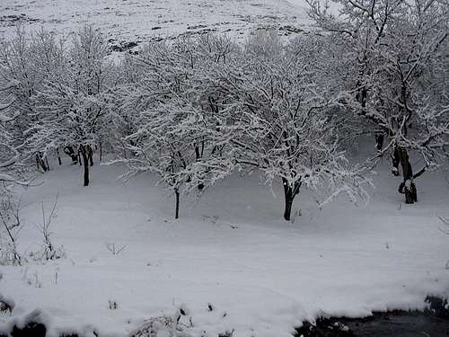 Winter , Kang village