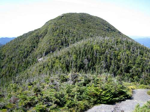 Mt. Colden from the north summit area