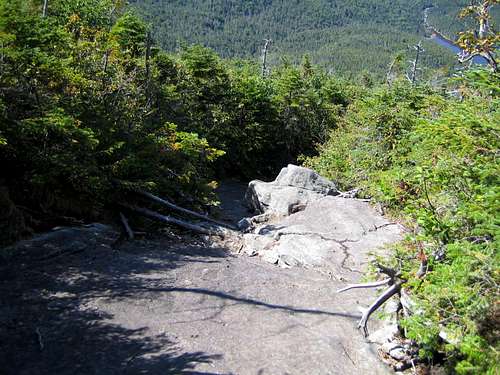 the trail down to Lake Colden