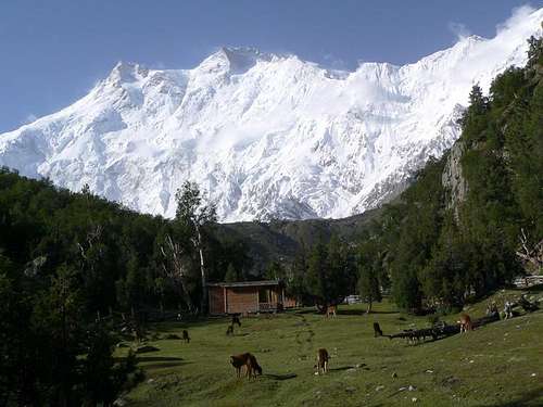 Nanga Parbat (8125-M), Western Himalayas, Pakistan