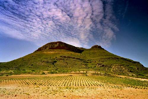 Fuente-Alamo Mountains; June 2004