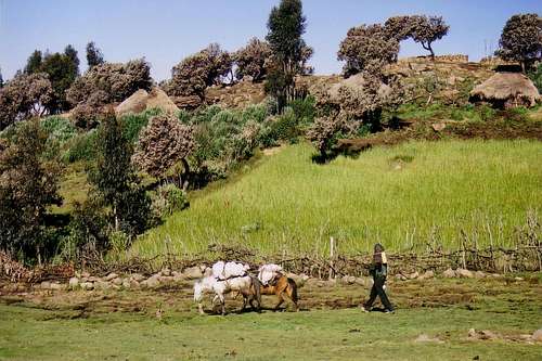 Village in the Simien Mountains