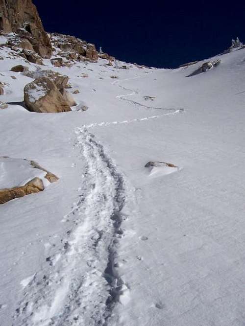 Alta Peak Trail - Dec 21, 2003