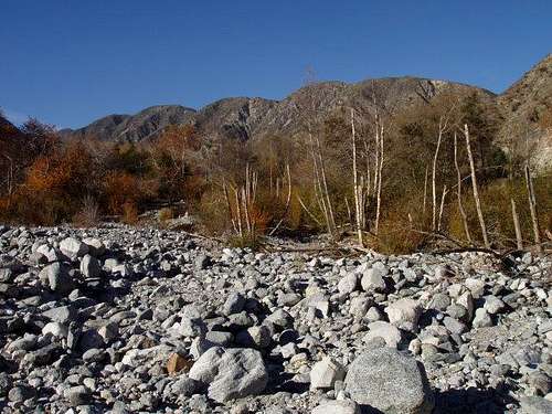 Sycamores and Rocks in Lytle Creek