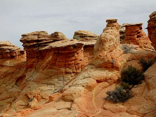 South Coyote Buttes