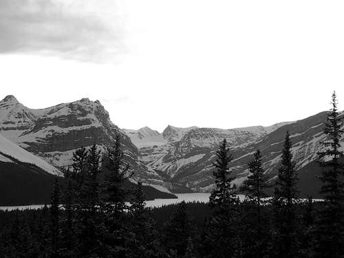 icefield parkway