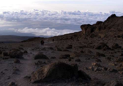 Above the Clouds on Kilimanjaro