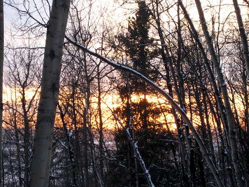 Sunset at Birch Hill